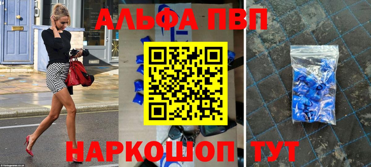 Альфа ПВП СК Шахты