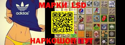 крисы Будённовск