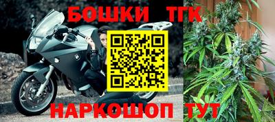 крисы Будённовск