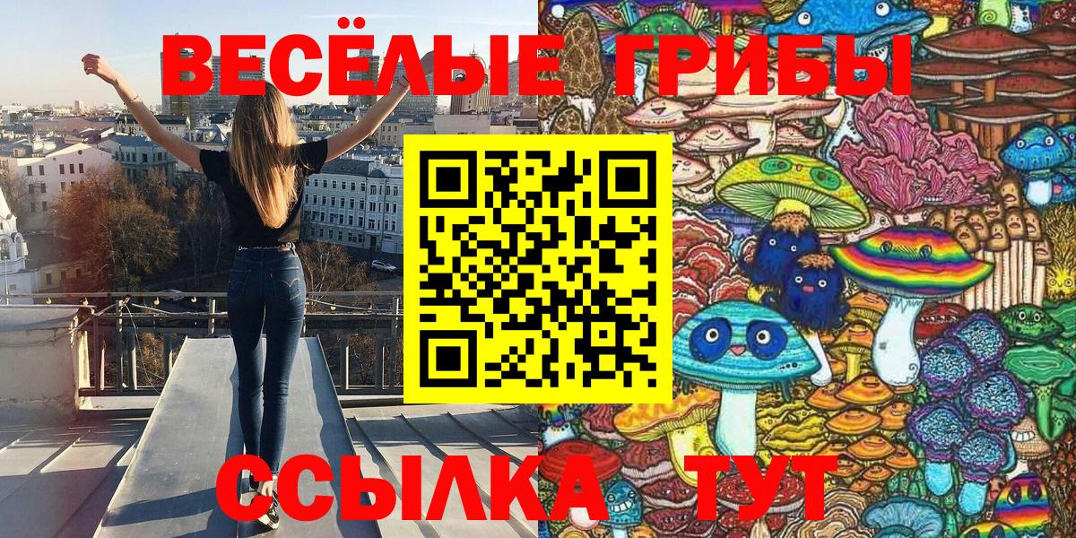Галлюциногенные грибы Cubensis Шахты